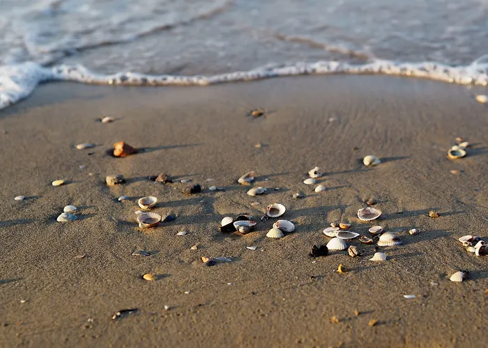 Modern With Swimming Pool Apartment *